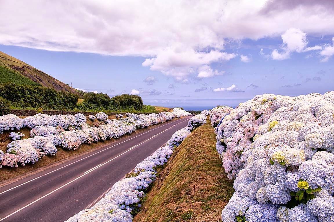 Fotos de mulheres solteiras no Ponta Delgada-2396